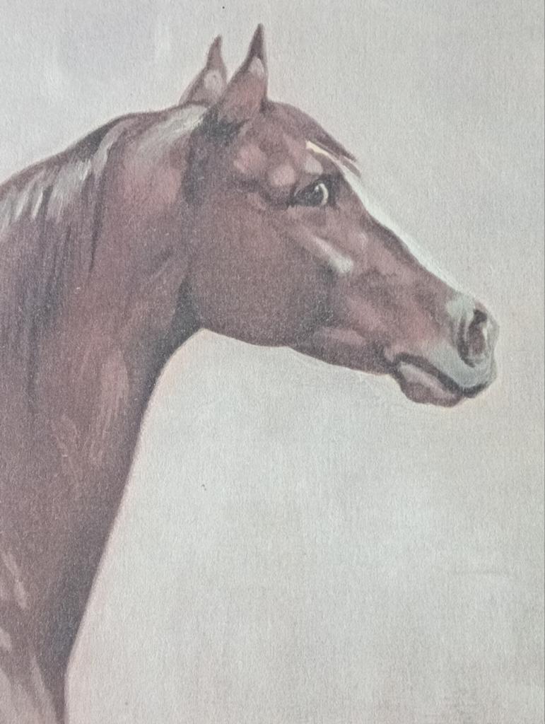 Otto Eerelman prent Paard, Ophalen of Verzenden