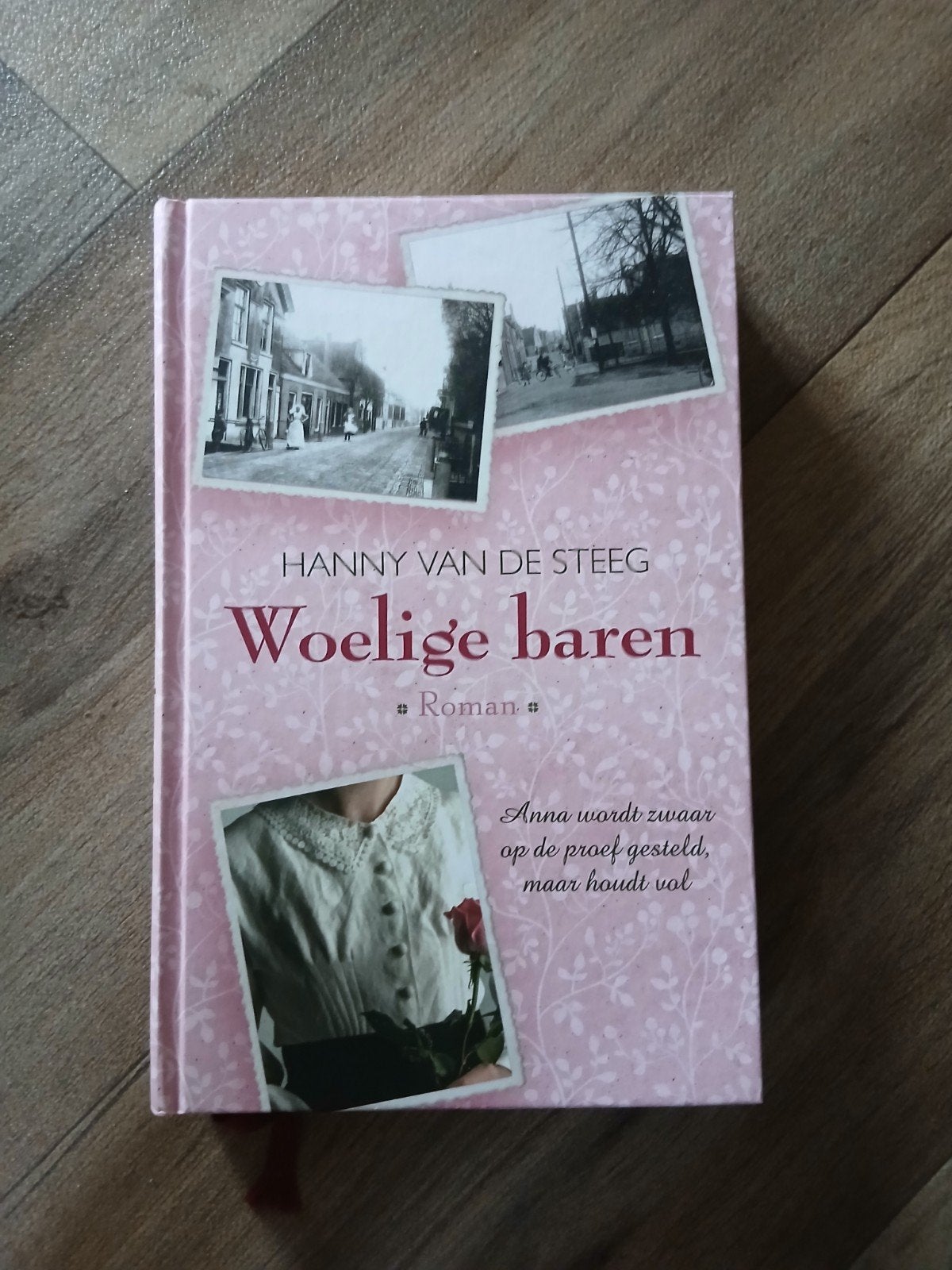 Hanny van de Steeg - Woelige baren, Ophalen, Noord-Brabant, Hanny van de Steeg, Zo goed als nieuw