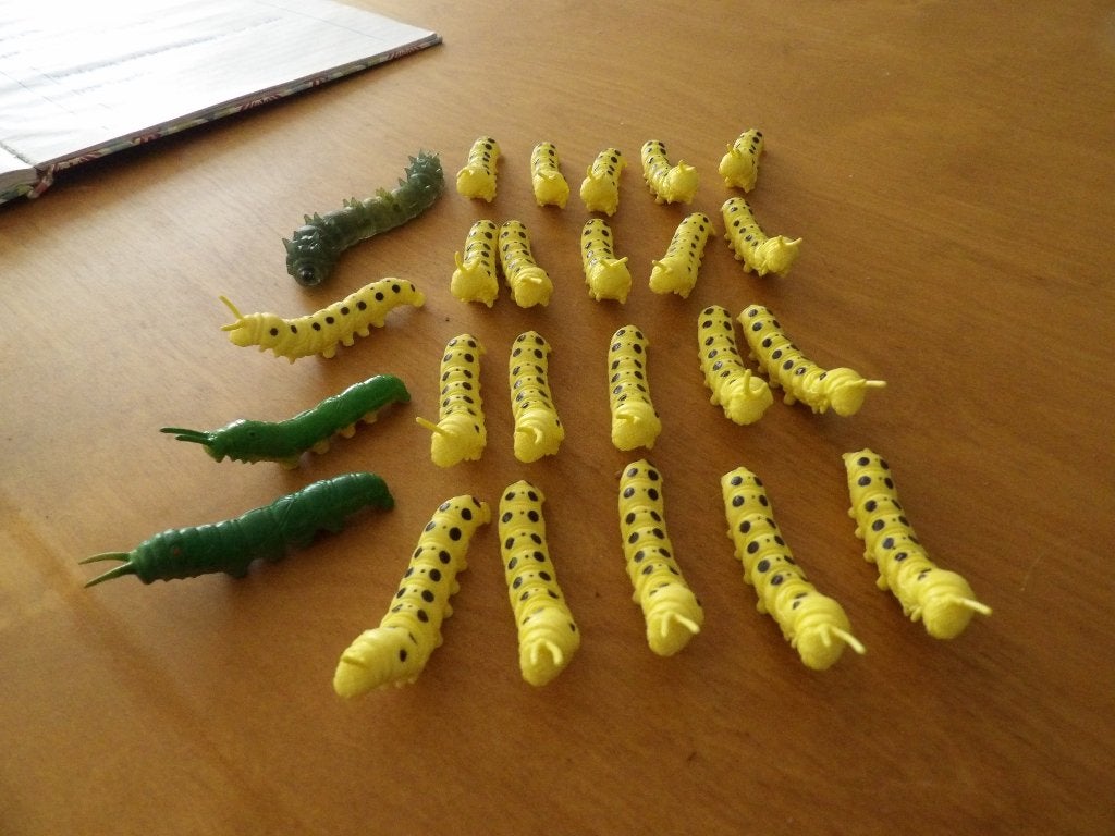 Insecten; rupsen, vliegen, vlinders enLieveheersbeestjes, Ophalen of Verzenden