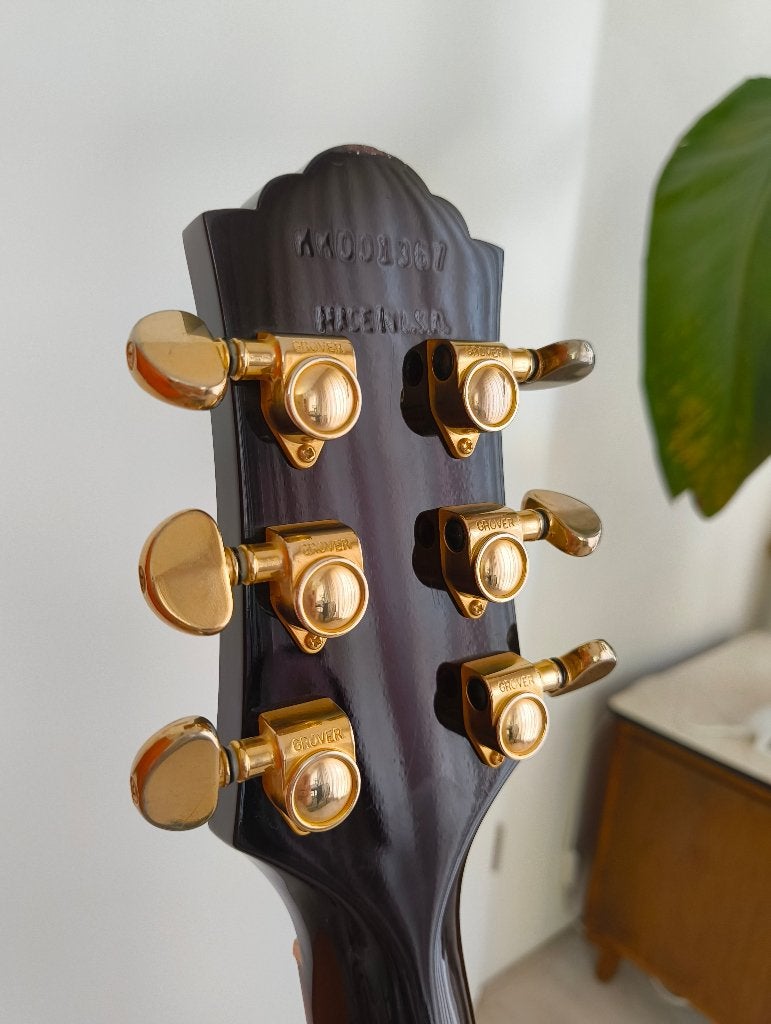 Foto 5 van Guild Songbird gitaar met case