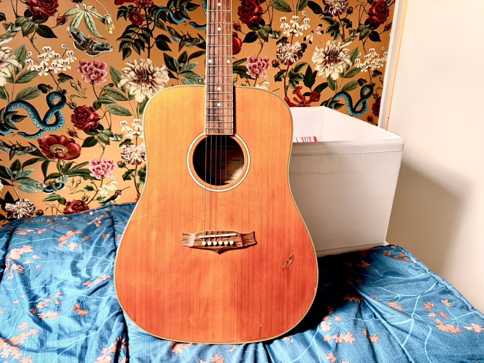 Tanglewood TW28 CSR Western gitaar (serienummer: T.36.800.05, Ophalen, Gebruikt, Western- of Steelstringgitaar
