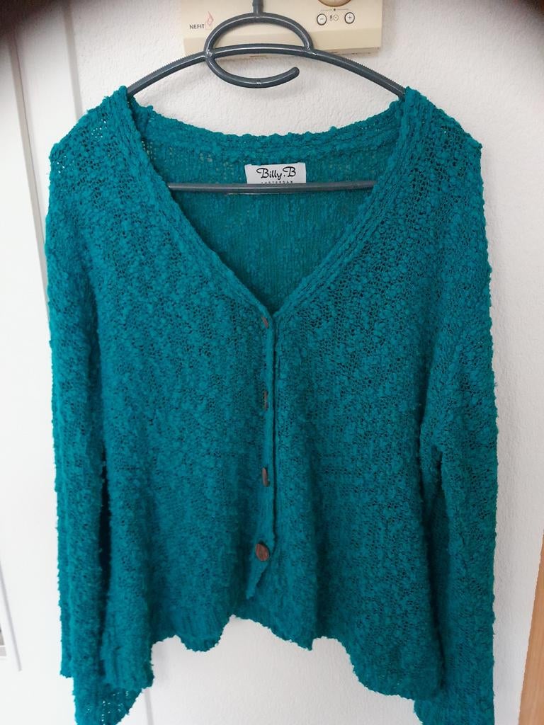 Blauw groen vestje van Billy B maat 42/44, Billy b, Verzenden, Zo goed als nieuw, Maat 42/44 (L)