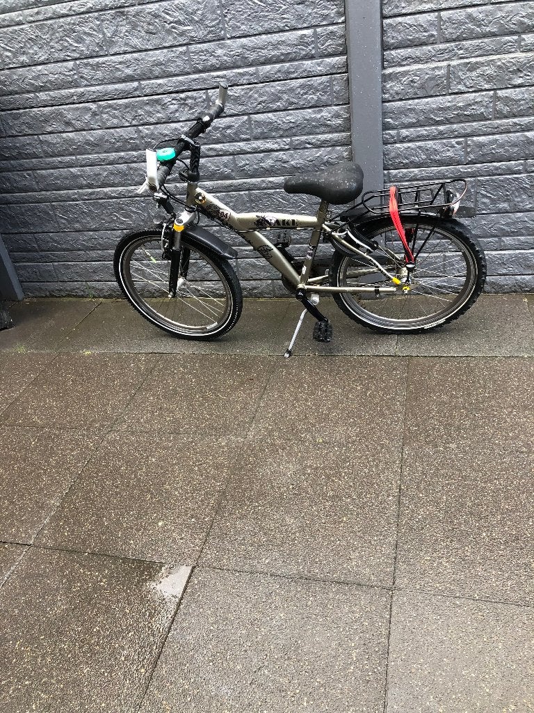 jongens fiets snake batavus, Ophalen, Velgrem, Versnellingen, Batavus