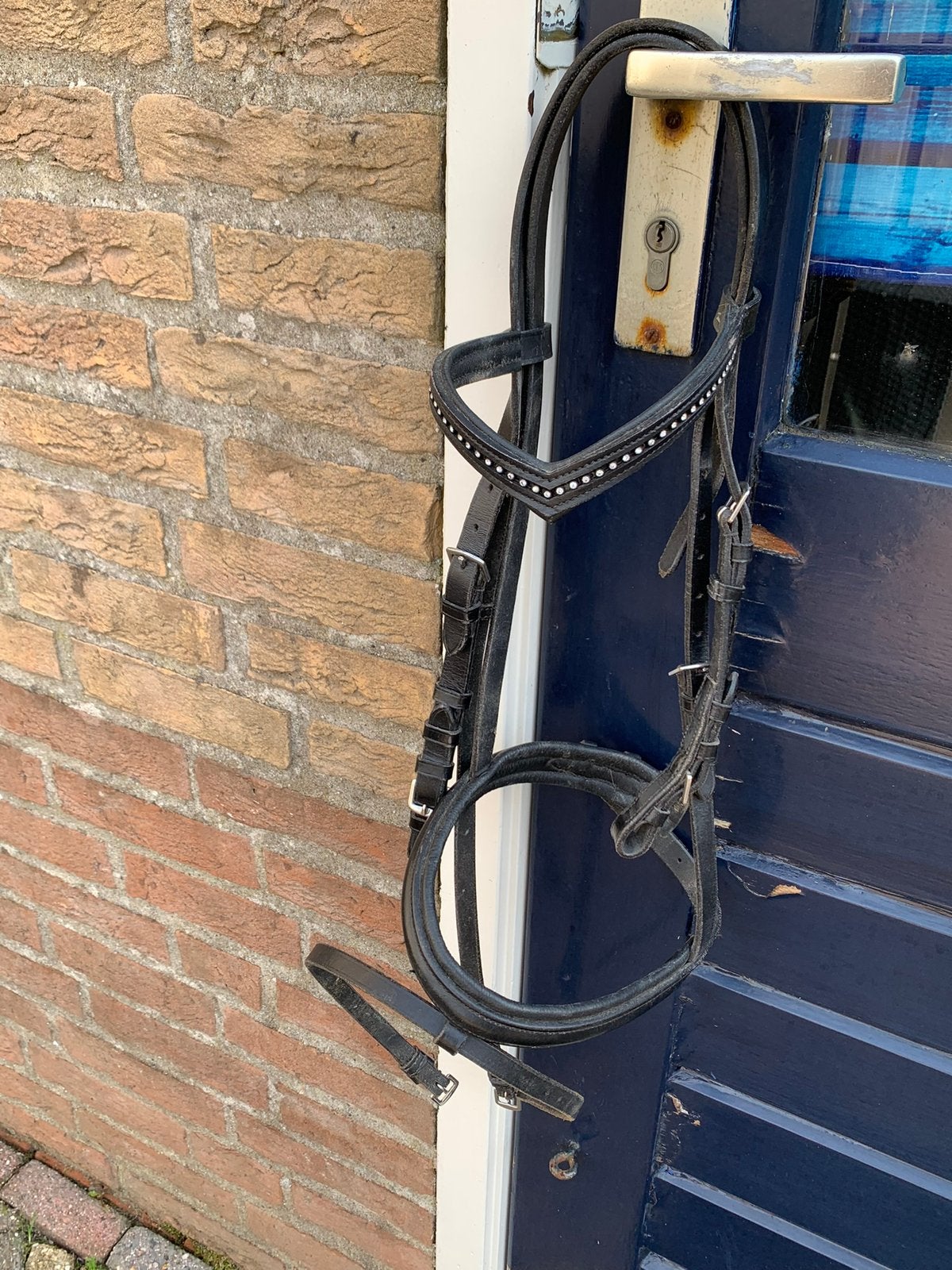 Hoofdsteld maat pony, Dieren en Toebehoren, Inclusief teugels, Zwart, Hoofdstel, Gebruikt