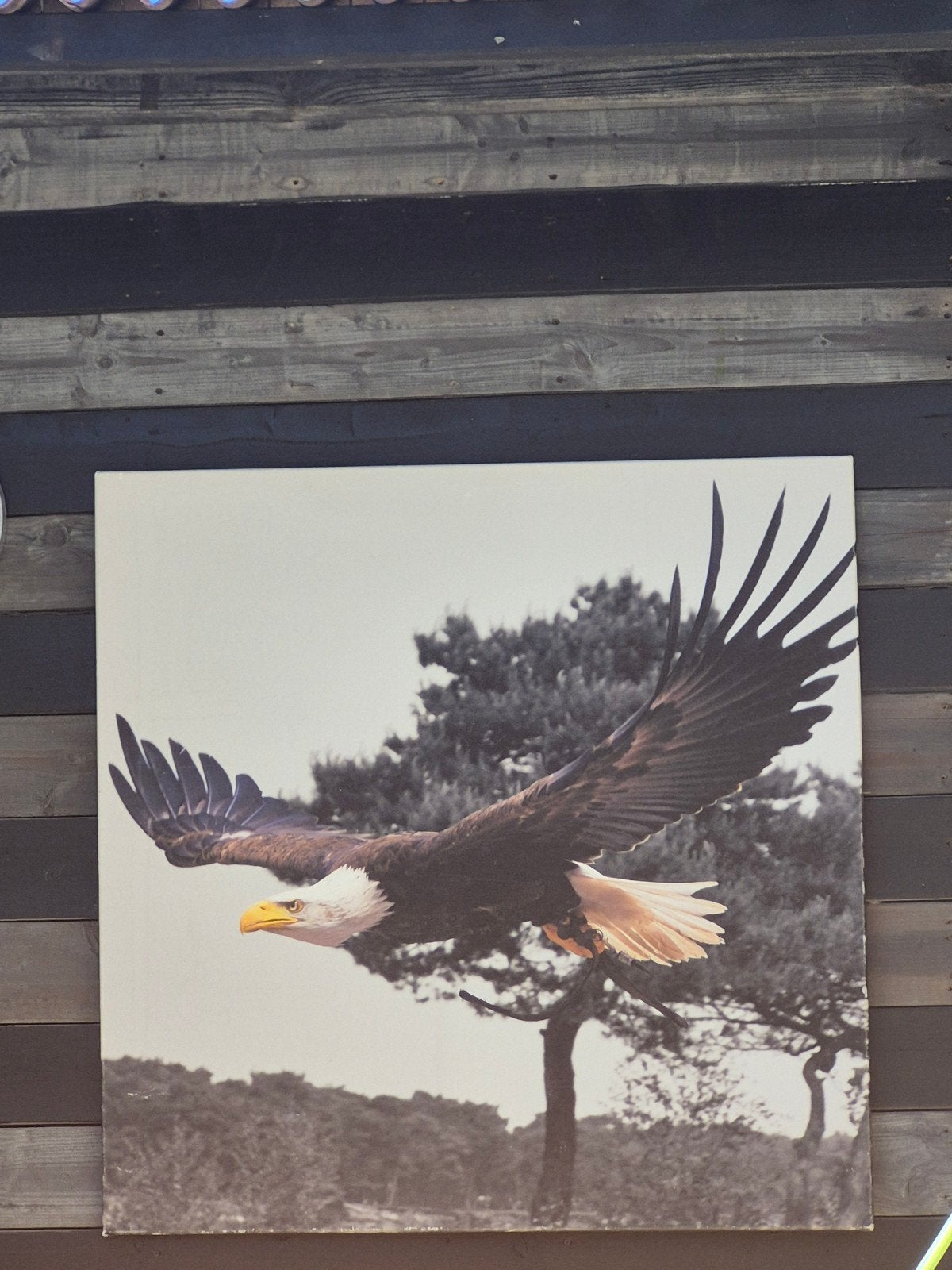 Canvas schilderij