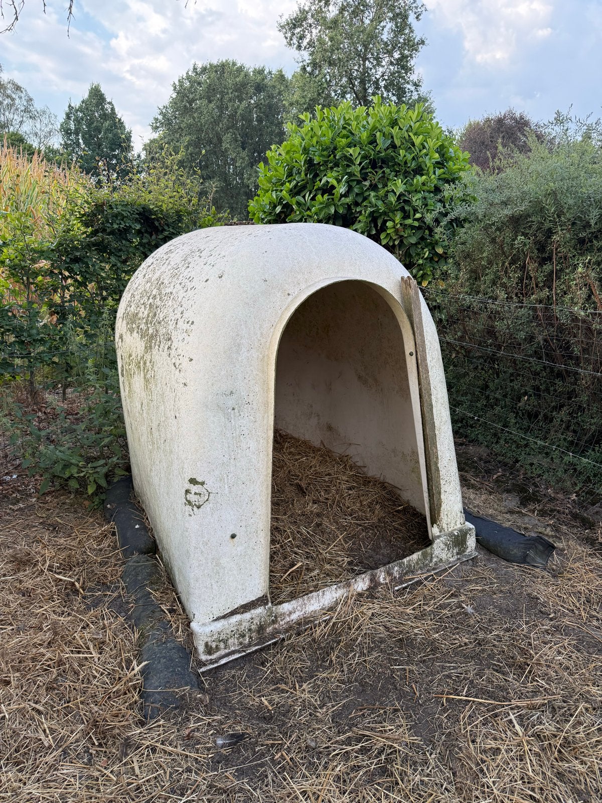 Kalveriglo, Dieren en Toebehoren