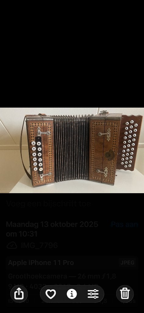 Antieke trekzak Berna Harfe, Muziek en Instrumenten, Ophalen, Gebruikt
