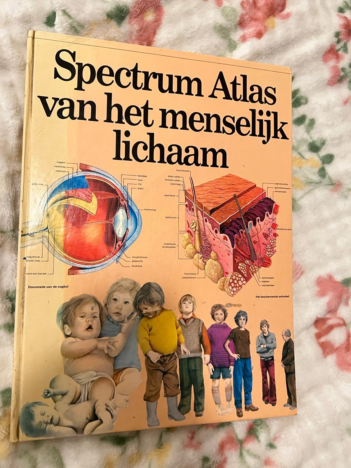 Spectrum Atlas van het menselijk lichaam, Ophalen of Verzenden, Gelezen, Natuurwetenschap