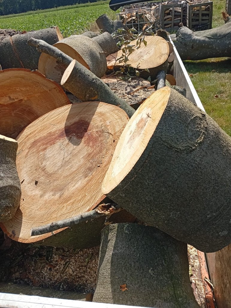 Open Haard Hout BEUK in blokken, 3 tot 6 m³, Ophalen, Beukenhout, Blokken