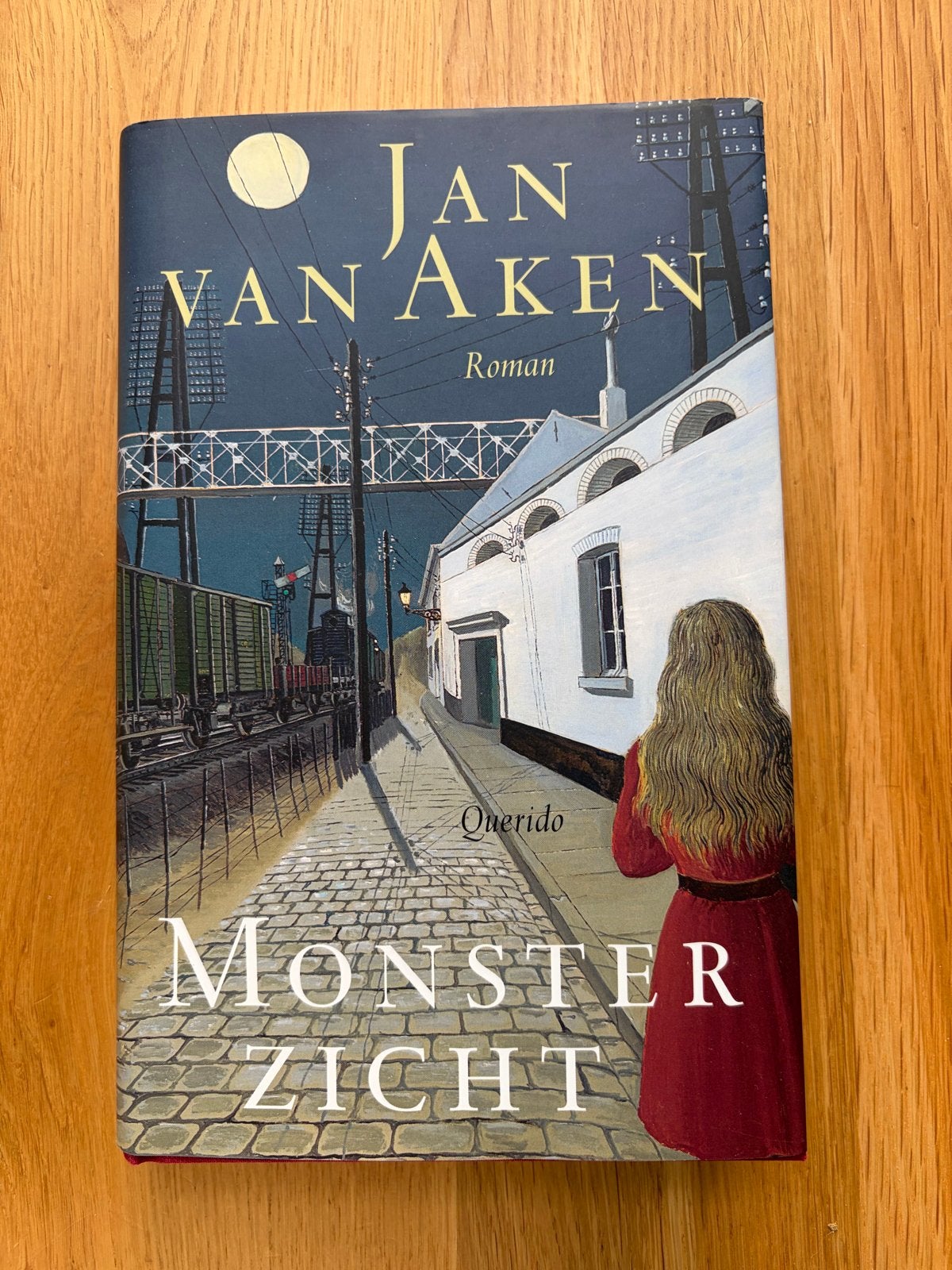 Monster Zicht - Jan van Aken (Roman), Boeken, Verzenden, Zo goed als nieuw, Nederland