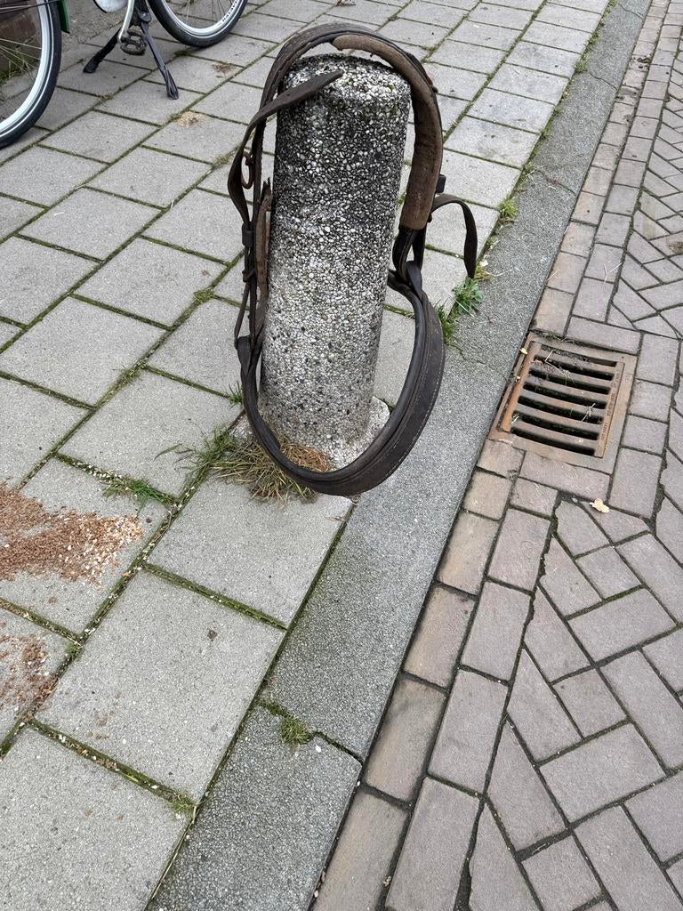 Borst /werktuig, Ophalen of Verzenden, Gebruikt