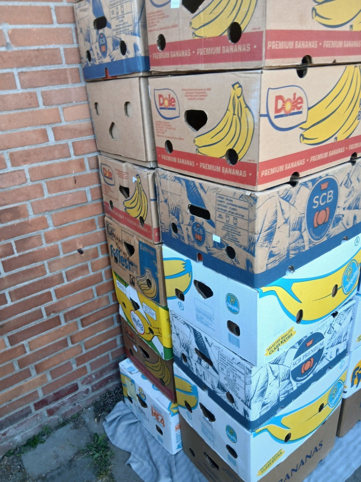 Verhuisdozen bananendozen, Ophalen, Doos, 40 tot 60 cm, 50 tot 75 cm