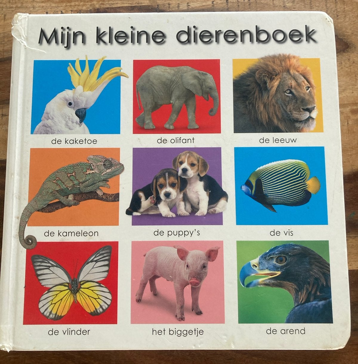 Mijn kleine dierenboek - Leer over dieren, Ophalen of Verzenden, Zo goed als nieuw, Uitklap-, Voel- of Ontdekboek, 1 tot 2 jaar