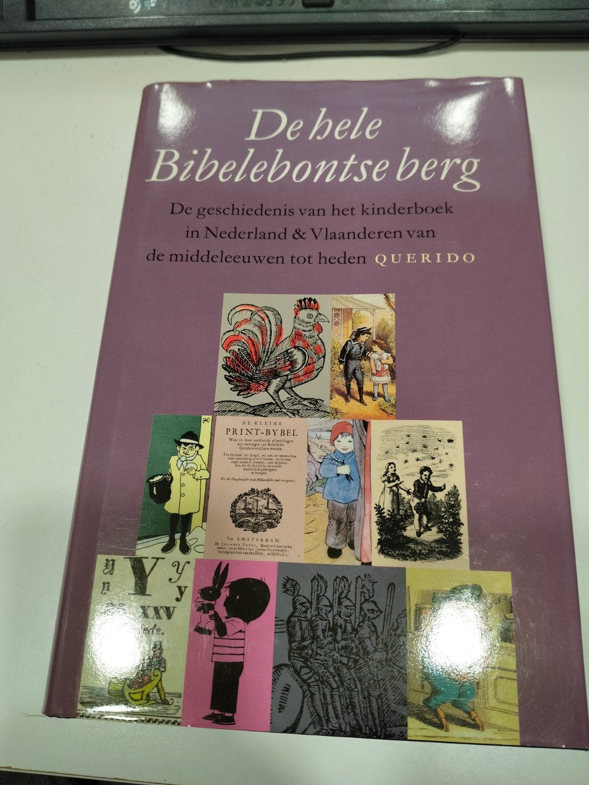 De hele Bibelebontse berg de geschiedenis van het kinderboek, Ophalen of Verzenden, Zo goed als nieuw