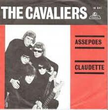 Gezocht: Piraten Singles ‍️, Ophalen of Verzenden, Gebruikt, Overige formaten, Overige soorten