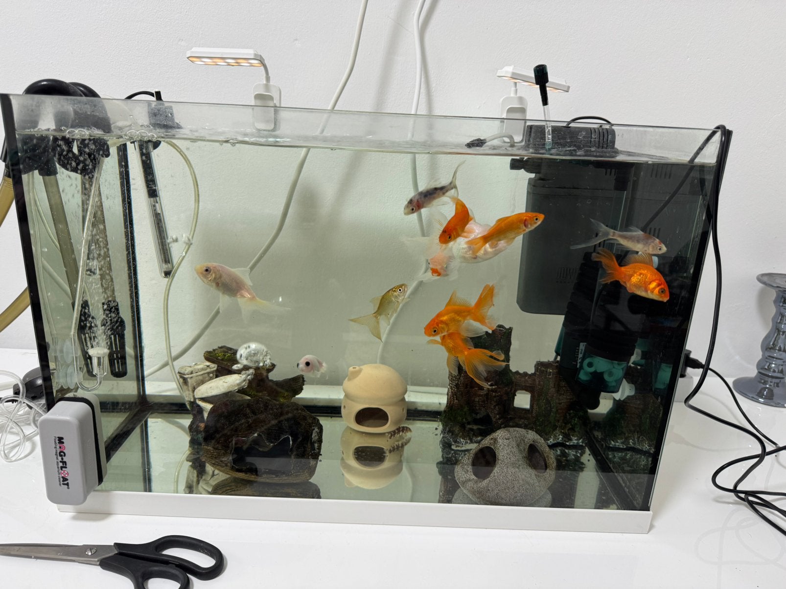 70L Aquarium met 13 vissen + filters en accessoires, Dieren en Toebehoren, Ophalen, Zo goed als nieuw, Gevuld zoetwateraquarium