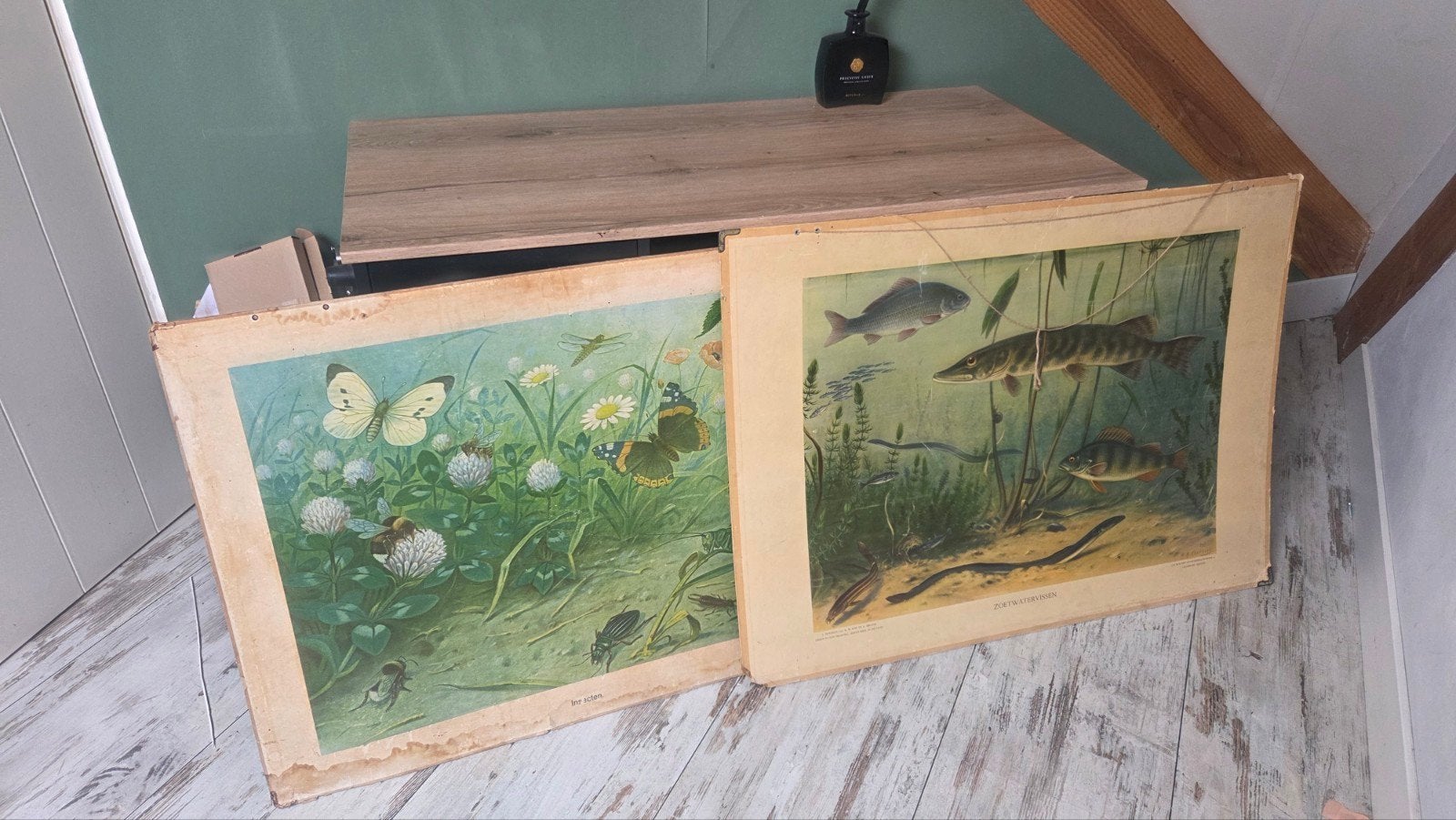 2 antieke schoolplaten zoetwatervissen en insecten, Antiek en Kunst, Ophalen, Natuur en Biologie