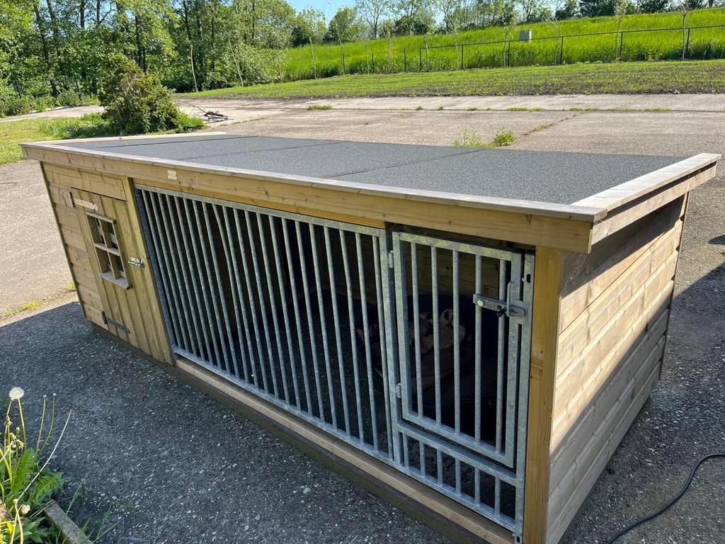 Ruime hondenkennel, Ophalen, Hondenkennel, 100 cm of meer, 110 cm of meer