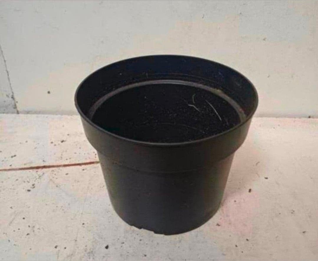 Kweekpotten plantenpotten bloempotten 2 liter, Kunststof, Gebruikt, Rond, Ophalen of Verzenden