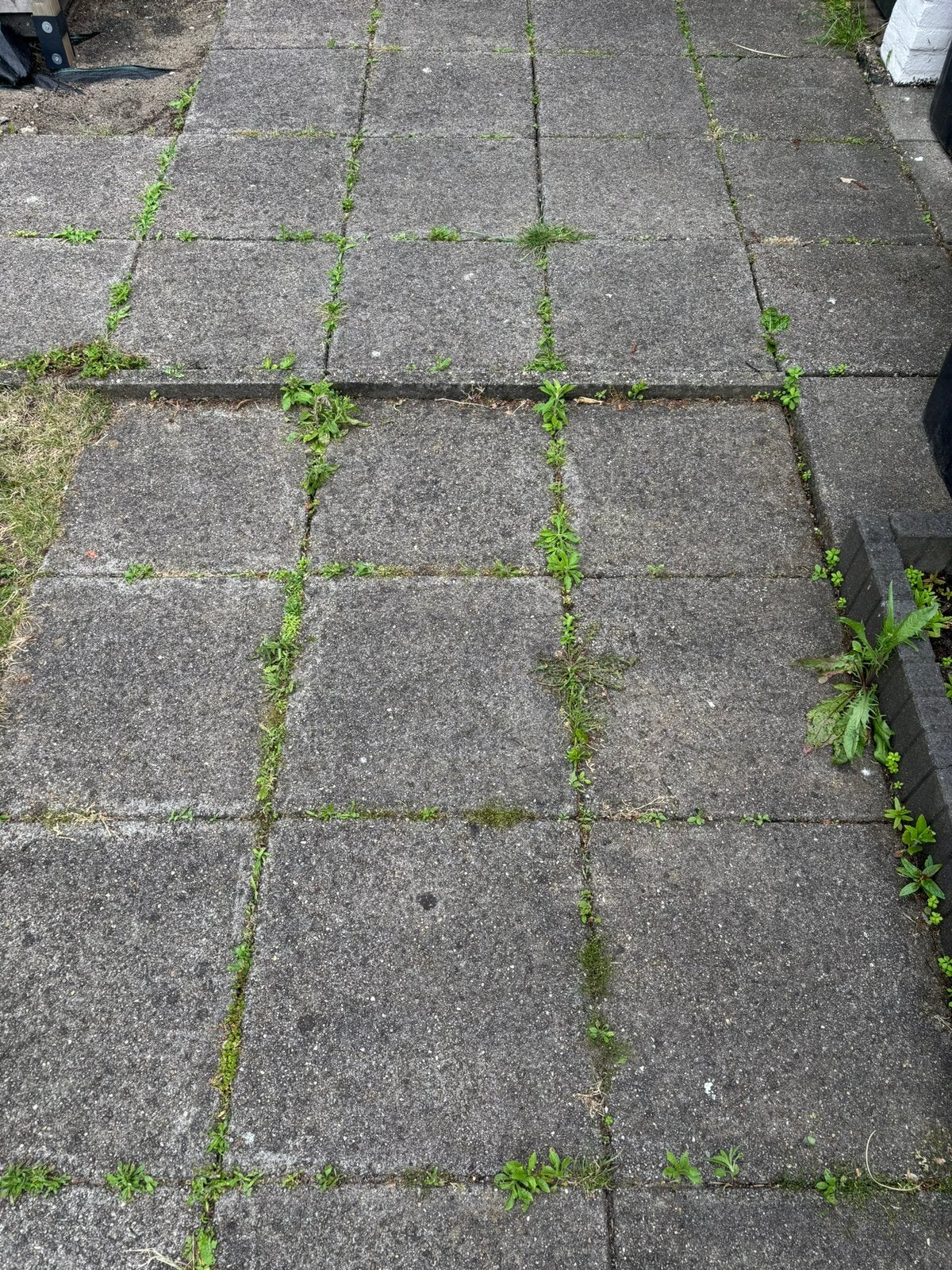 Gratis grijze betontegels 50x50 cm, Tuin en Terras, Ophalen, Zo goed als nieuw, Beton, Terrastegels