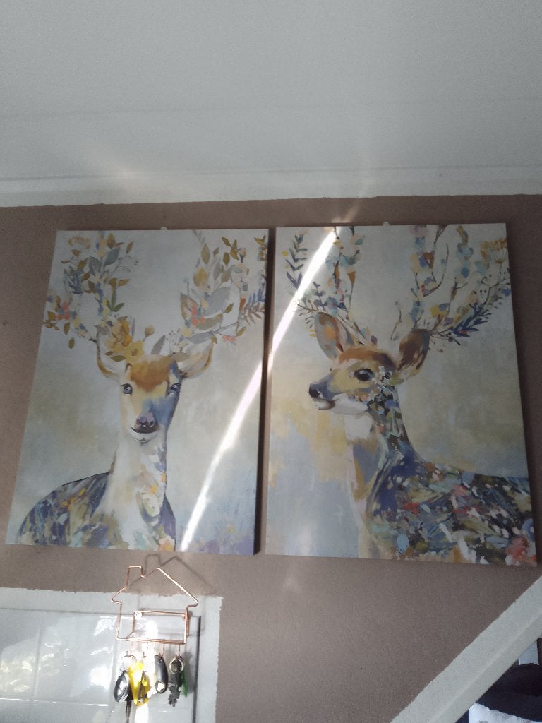 set van 2 canvas schilderijen, Ophalen, 50 – 75, Zo goed als nieuw, Schilderij