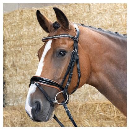Harry’s horse hoofdstel black cognac Cob of Full nieuw, Ophalen of Verzenden, Nieuw