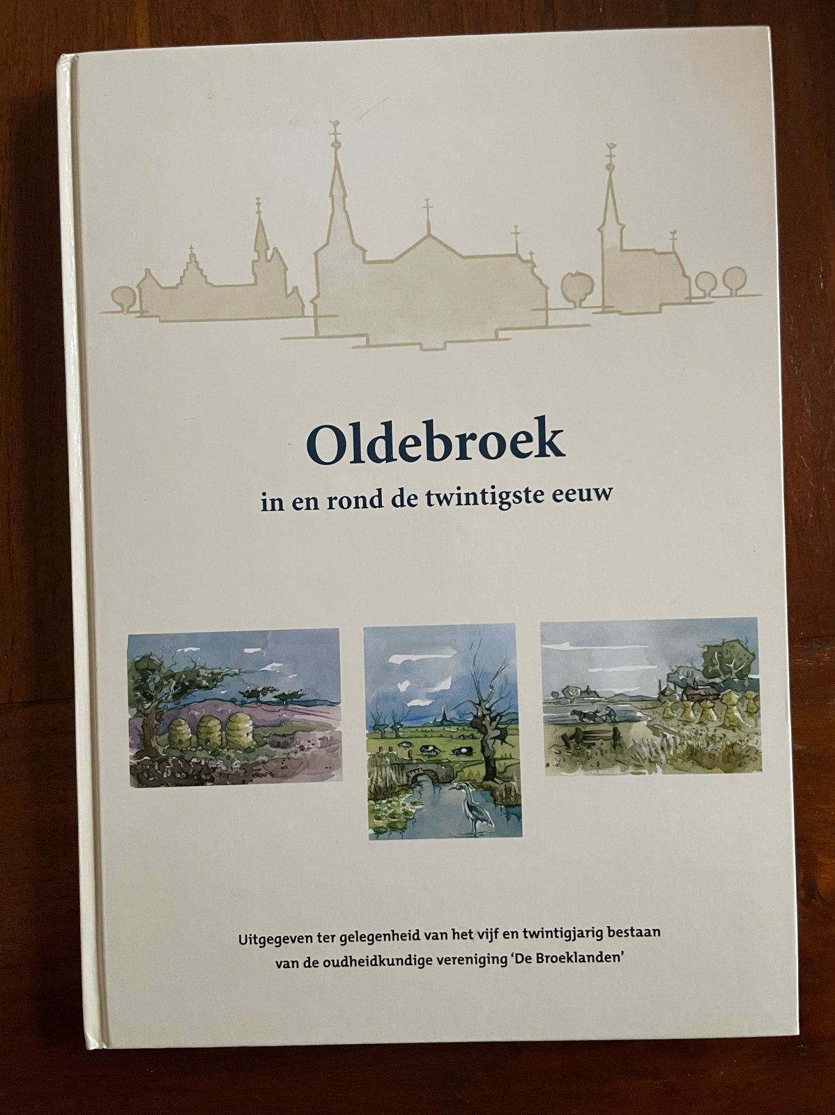 Oldebroek in en rond de twintigste eeuw - Geschiedenisboek, Boeken, Ophalen of Verzenden, 20e eeuw of later, Zo goed als nieuw