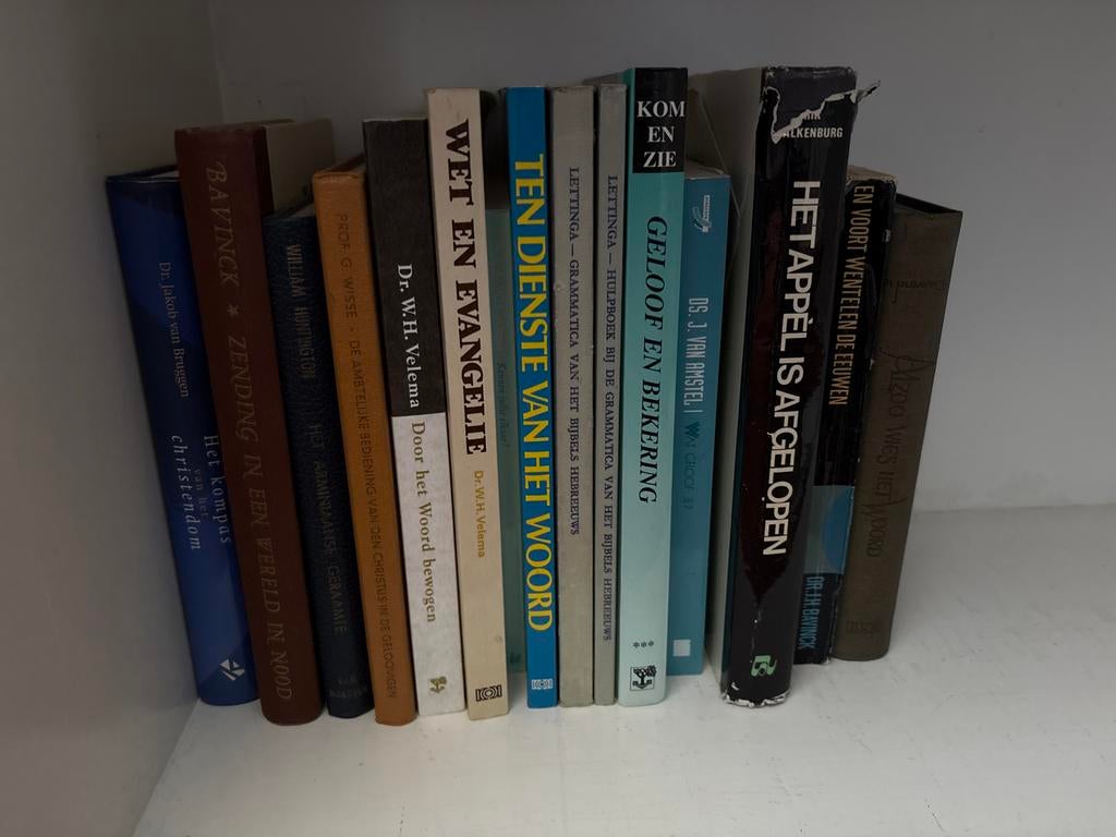 Diverse Theologische Boeken - Christendom, Ophalen of Verzenden, Gelezen, Christendom | Protestants