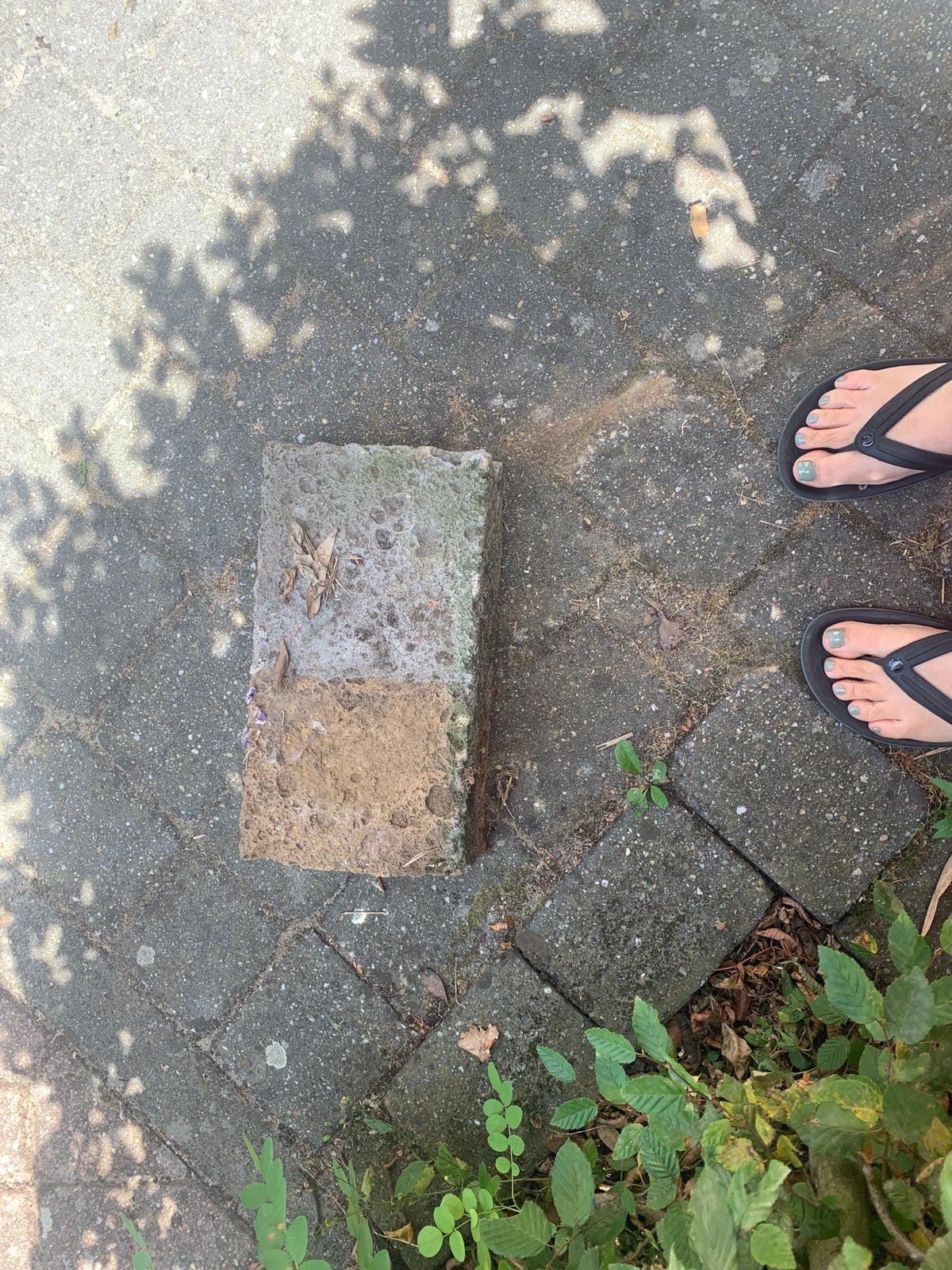 Stapelblokken, Tuin en Terras, Ophalen, Zo goed als nieuw, Minder dan 100 cm, Minder dan 25 cm