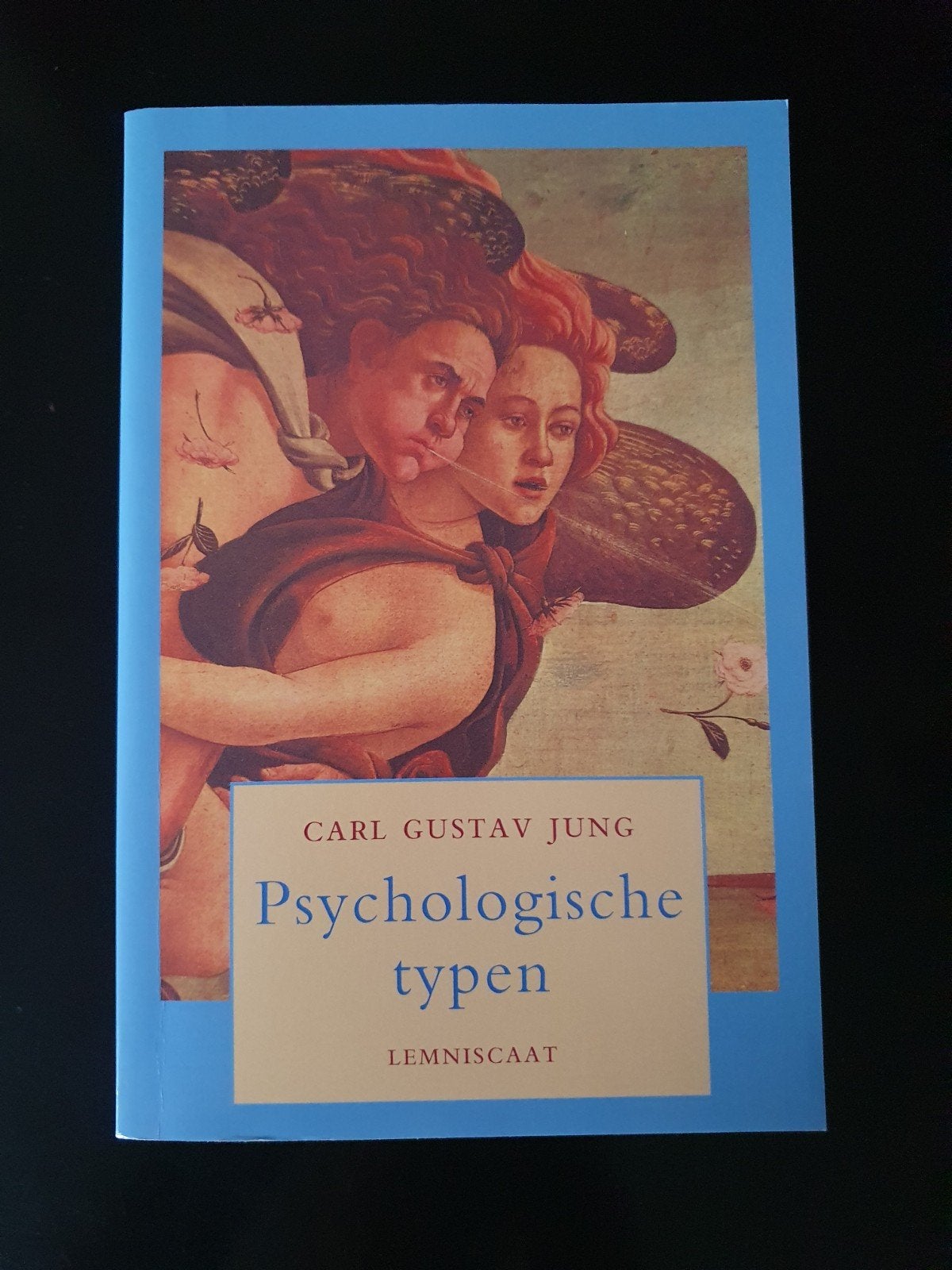 Psychologische Typen - Carl Gustav Jung, Boeken, Ophalen of Verzenden, Zo goed als nieuw, Klinische psychologie, Carl Gustav Jung