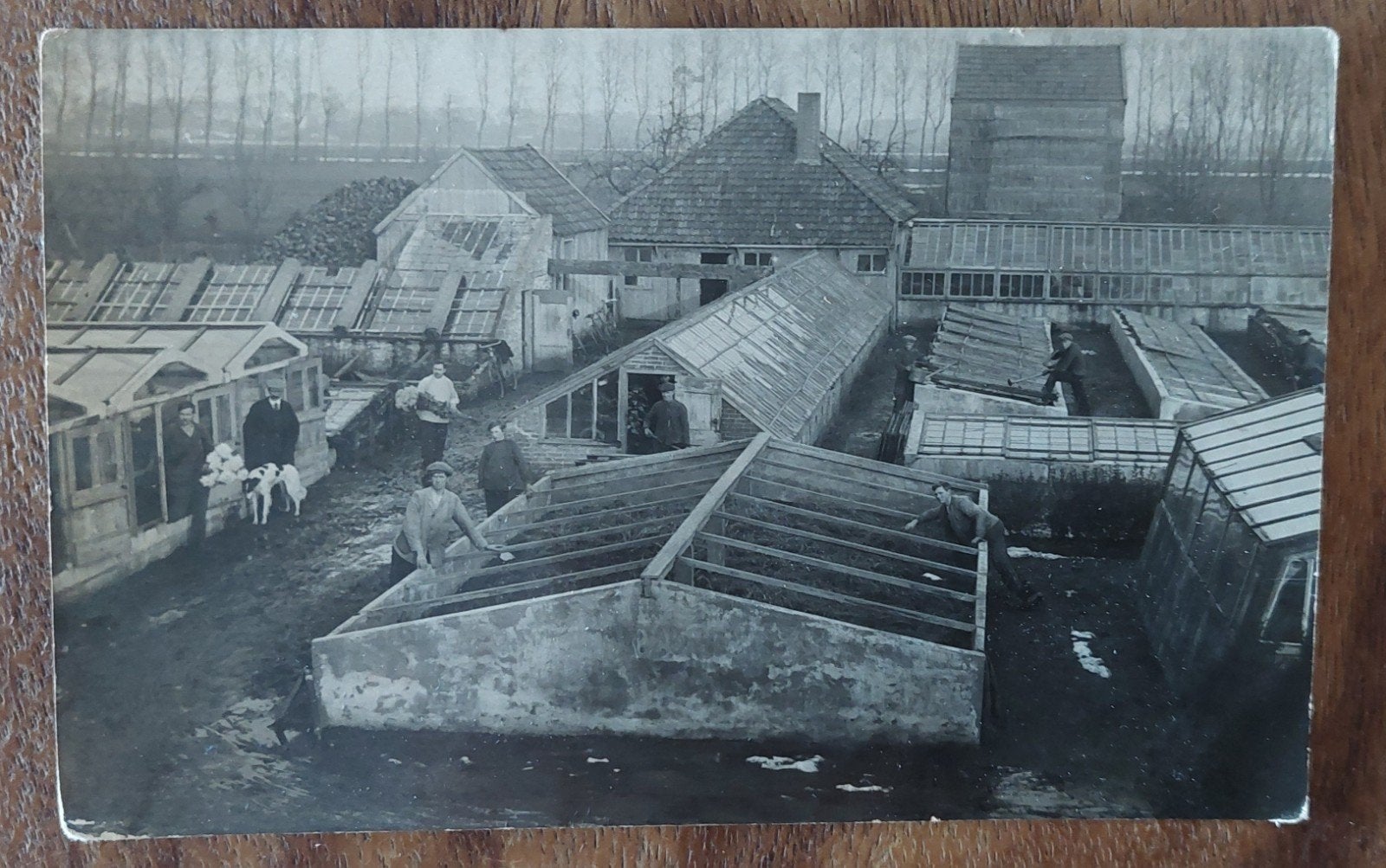 Fotokaart Tuinen van Wagter Heerenveen., Verzamelen, Ophalen of Verzenden, Voor 1920, Ongelopen, Friesland