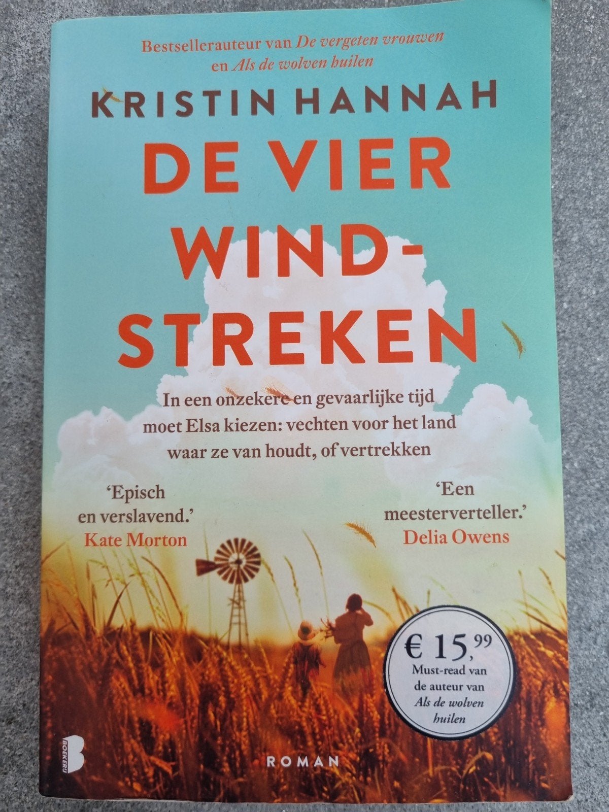 De Vier Windstreken - Kristin Hannah (Roman), Ophalen of Verzenden, Zo goed als nieuw, Kristin Hannah