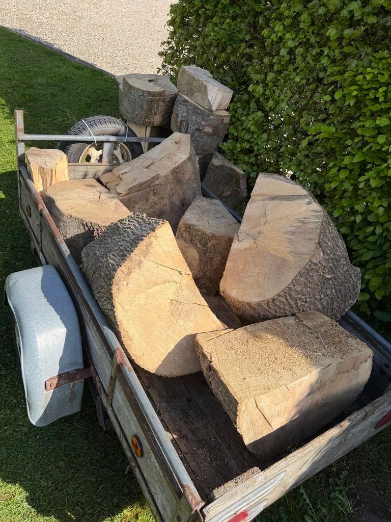 Gezaagd essen hout, eind 2025 gerooid, 3 tot 6 m³, Ophalen, Eikenhout, Blokken