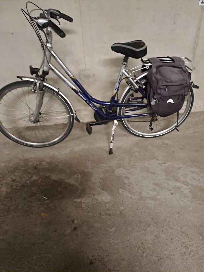 damesfiets Raleigh, Gebruikt, Velgrem, 47 tot 50 cm, Versnellingen