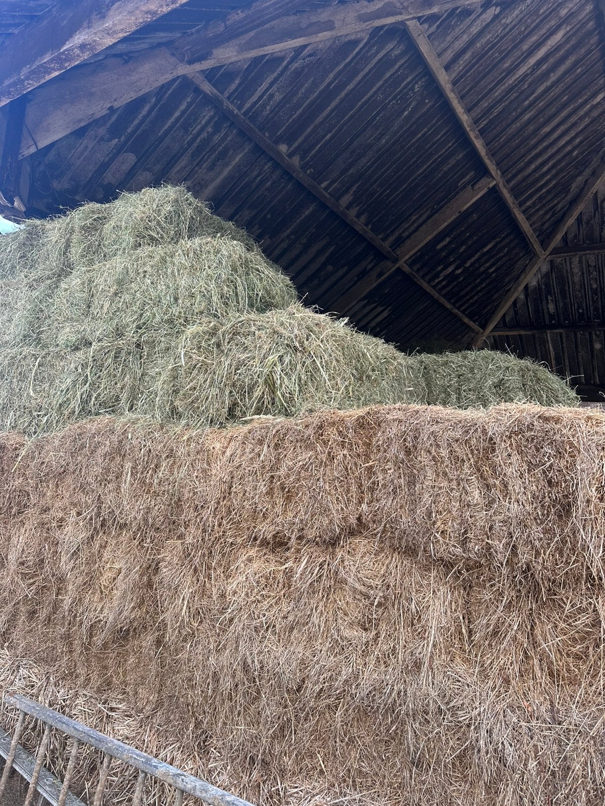 Paarden hooi te koop