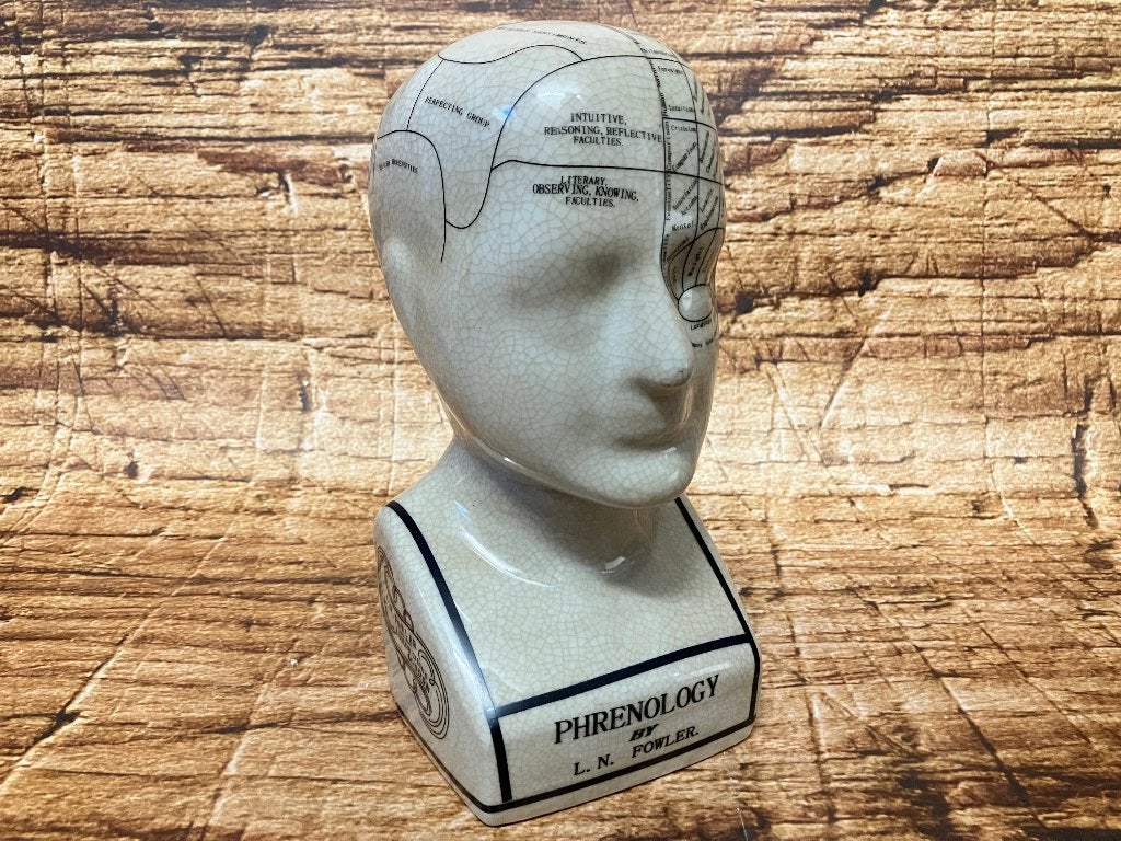 Phrenology hoofd (Medici hoofd) theorie L.N. Fowler., Antiek en Kunst, Ophalen of Verzenden