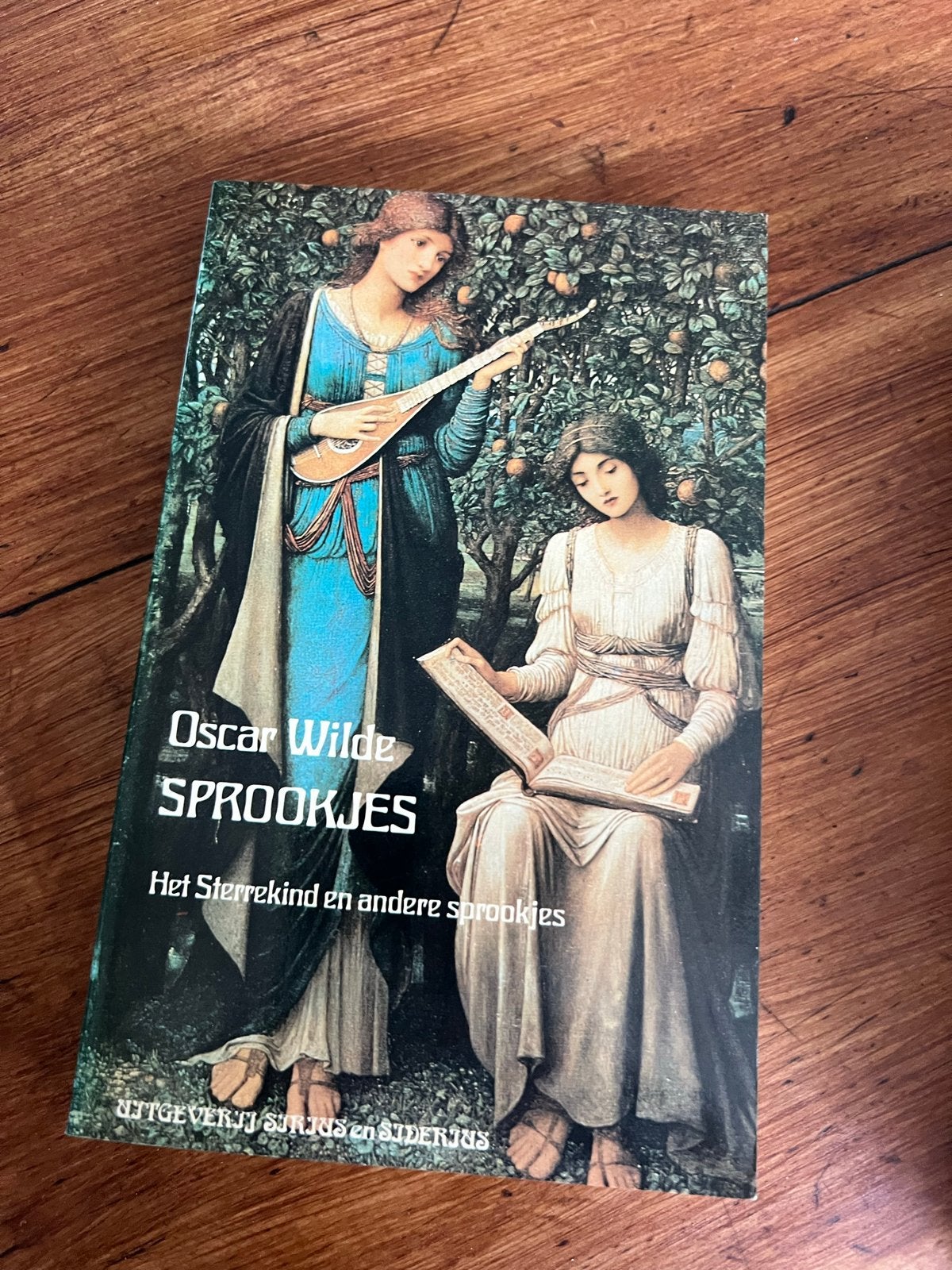 Oscar Wilde - Sprookjes: Het Sterrekind en andere sprookjes, Boeken, Ophalen of Verzenden, Gelezen