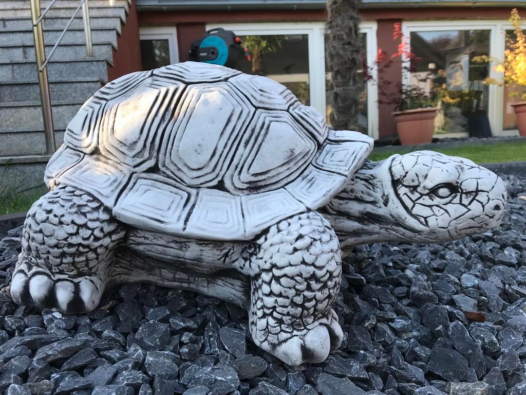‼️XL Reuzenschildpad 70kg Schildpad Reptiel Vijver Pad‼️, Ophalen of Verzenden, Nieuw, Beton, Dierenbeeld