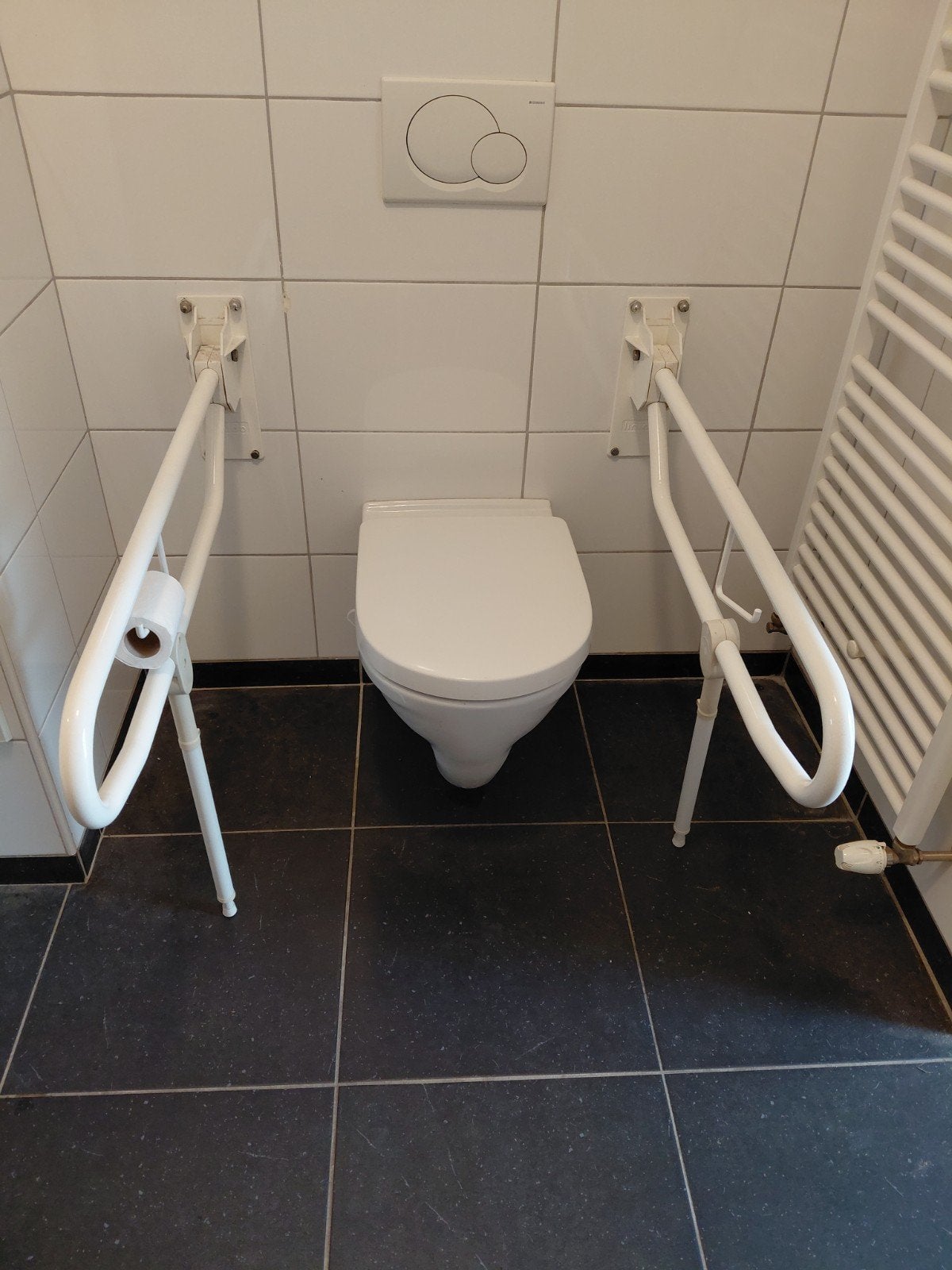 Toiletbeugel 2 stuks, Diversen, Ophalen, Zo goed als nieuw
