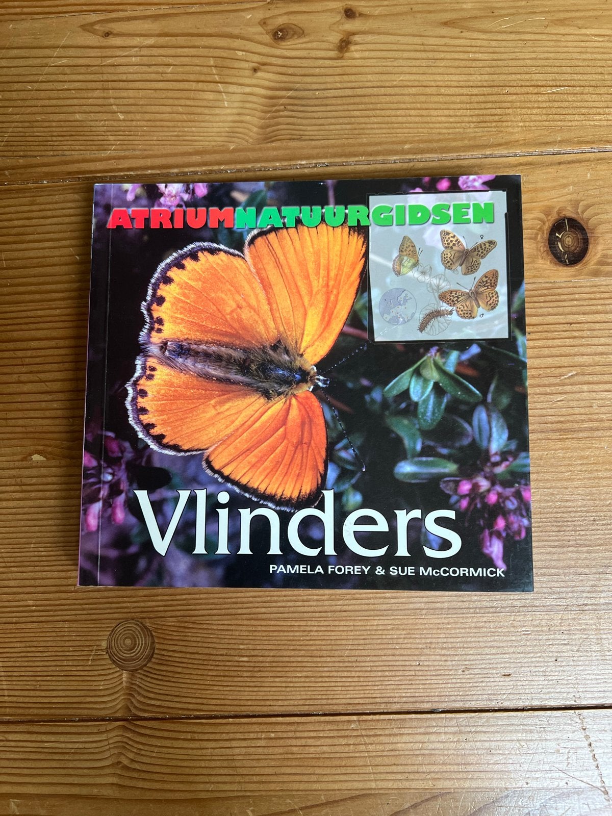 Atrium Natuurgidsen Vlinders - Handige Gids, Boeken, Natuur, Ophalen of Verzenden, Zo goed als nieuw, Bloemen, Planten en Bomen