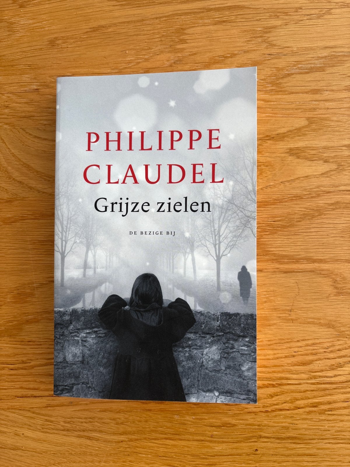Grijze zielen - Philippe Claudel (roman), Ophalen of Verzenden, Zo goed als nieuw