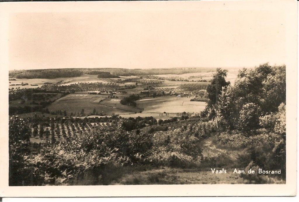 Vaals Aan de Bosrand., Ophalen of Verzenden, 1960 tot 1980, Ongelopen, Limburg