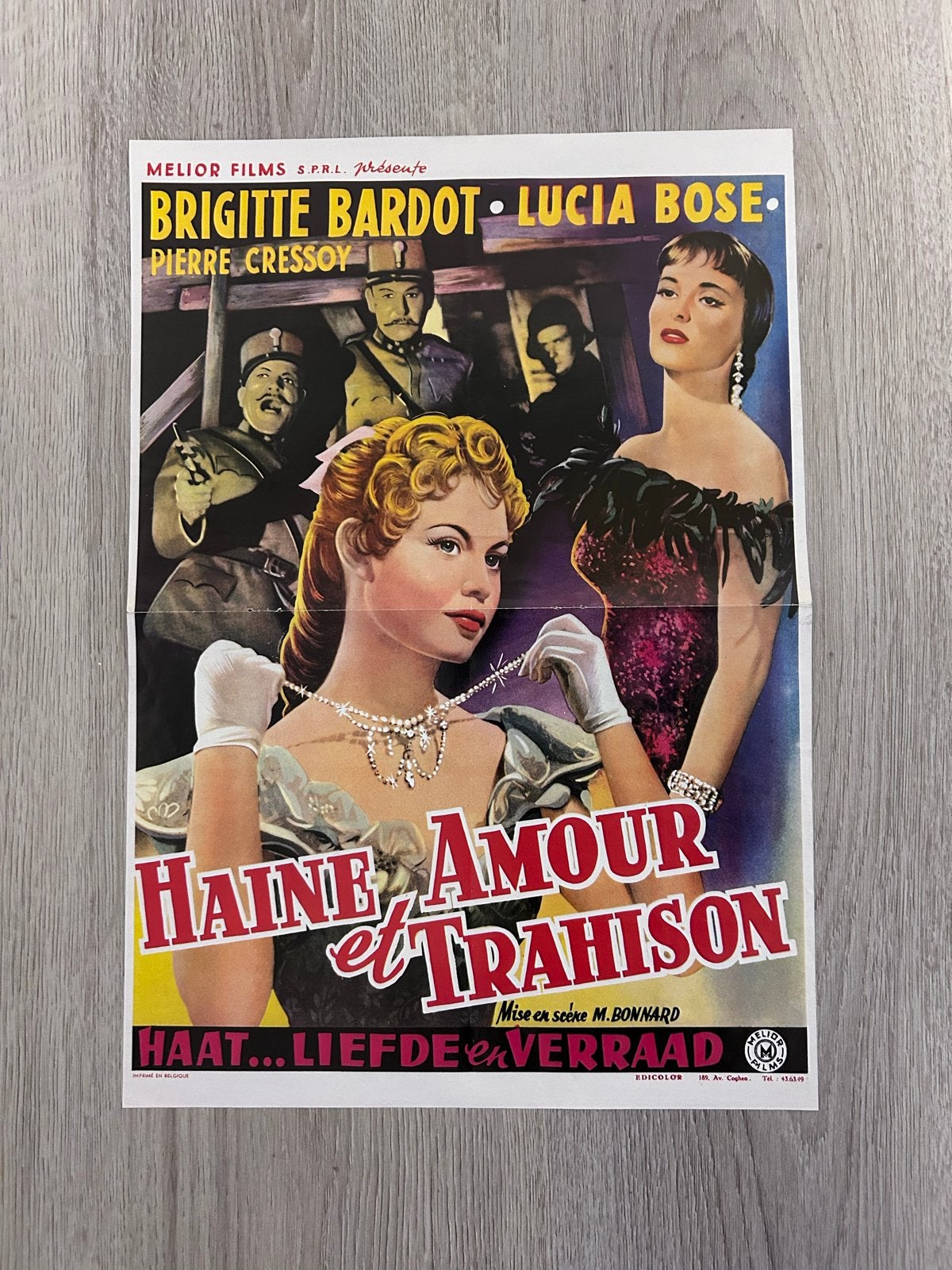 Vintage Filmposter Brigitte Bardot, Ophalen of Verzenden, A1 t/m A3, Film en Tv, Rechthoekig Staand