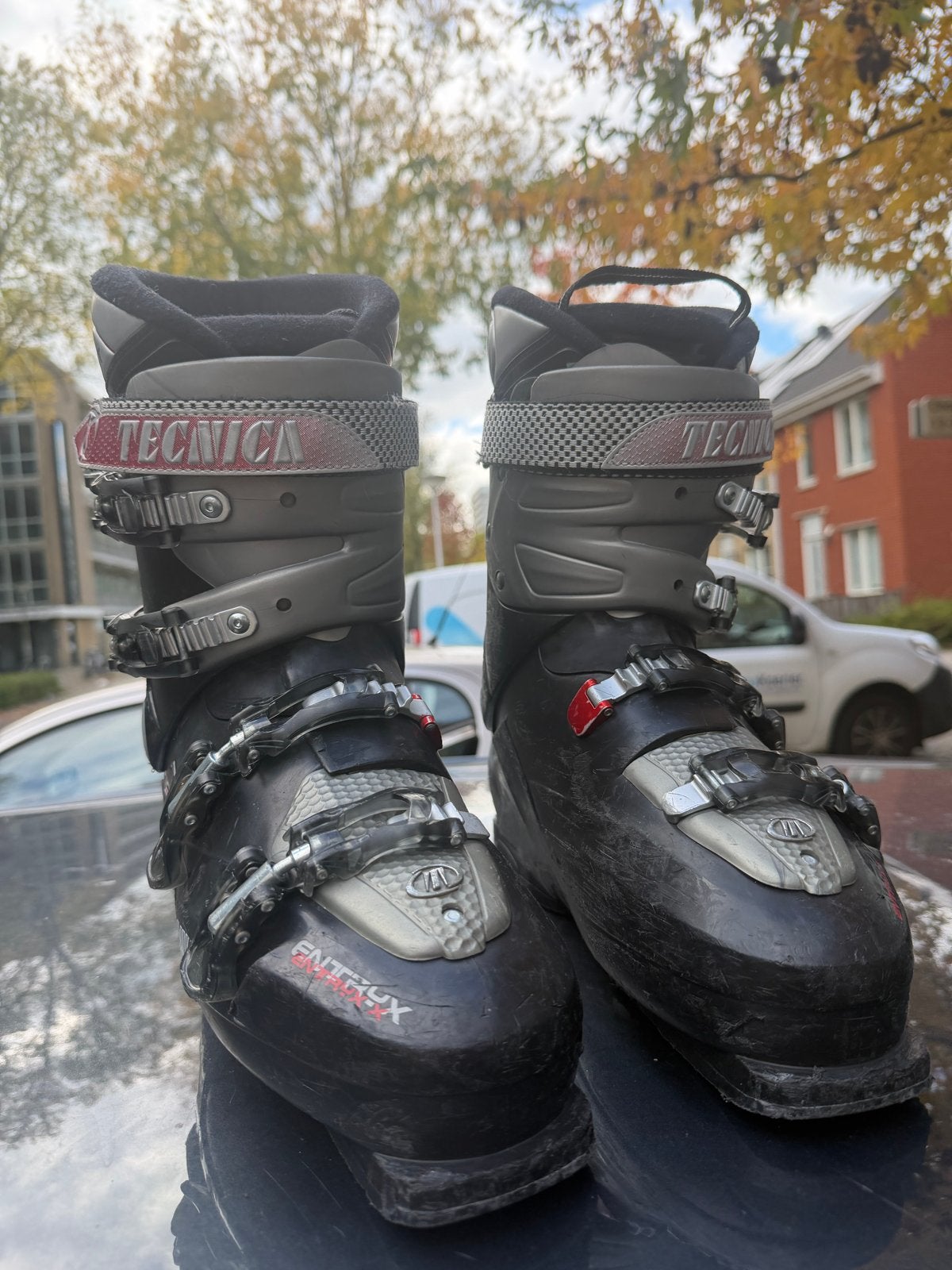 Tecnica Entrux skischoenen - Gebruikt, Overige merken, Gebruikt, Schoenen, Ophalen of Verzenden