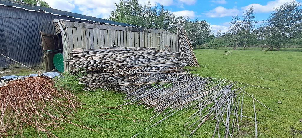 bamboestokken gebruikt 2,5 m. lang, Tuin en Terras, Kweekspullen, Ophalen of Verzenden, Gebruikt