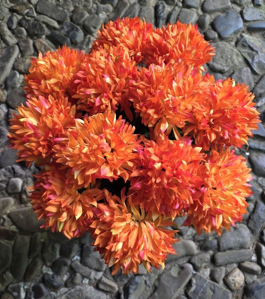 CHRYSANT - KUNST - 2 KLEUREN - KOOPJE - 1 EURO, Ophalen of Verzenden, Nieuw