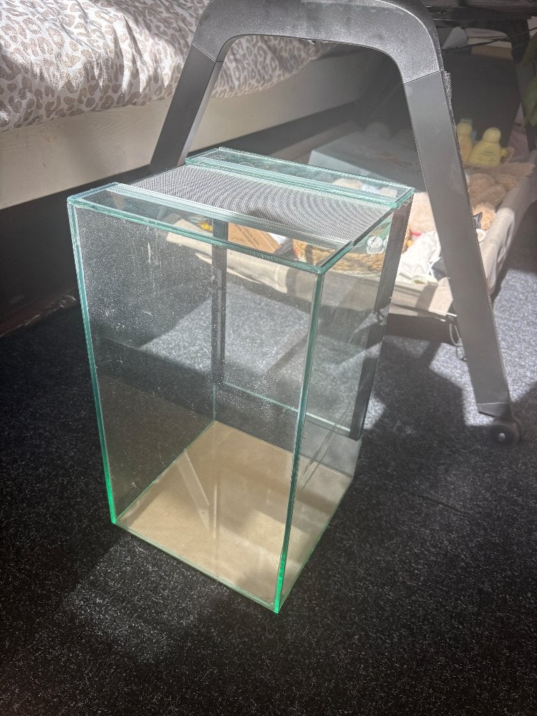 Territorium, Dieren en Toebehoren, Amfibie, 11 jaar of ouder