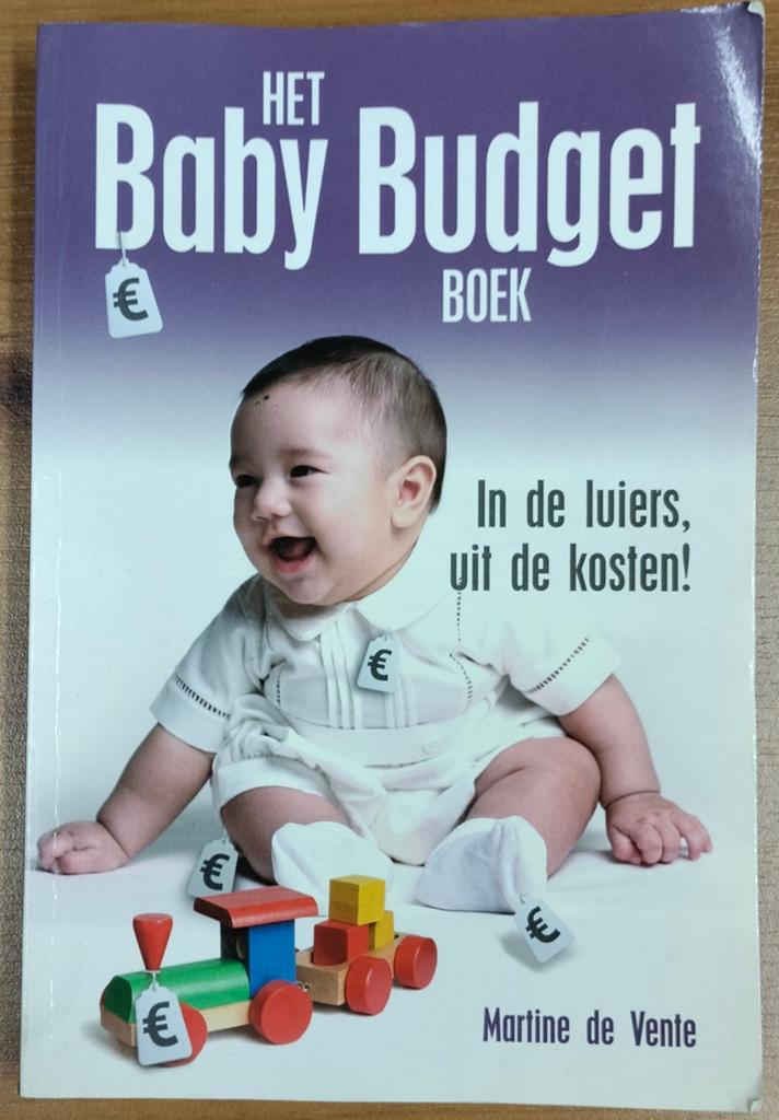 Het Baby Budget Boek: In de luiers, uit de kosten!, Boeken, Ophalen of Verzenden, Gelezen, Zwangerschap en Bevalling, Martine de Vente