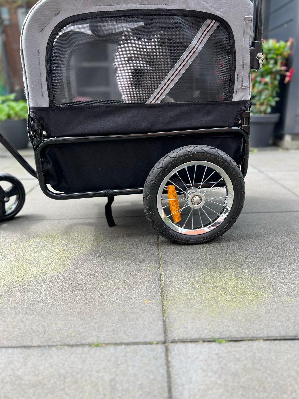 Hondenkar (zonder hond), Ophalen, Gebruikt, Hondenfietskar