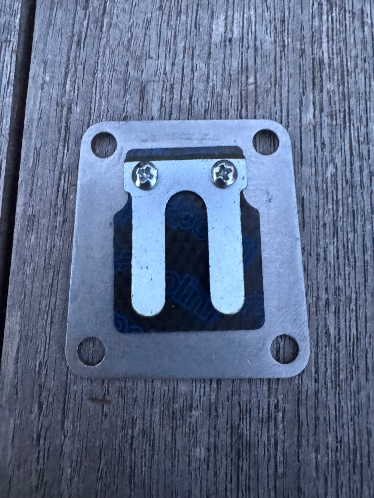 Nieuw Polini Carbon Membraan voor Tomos, Ophalen of Verzenden, Nieuw, Overige typen, Tomos